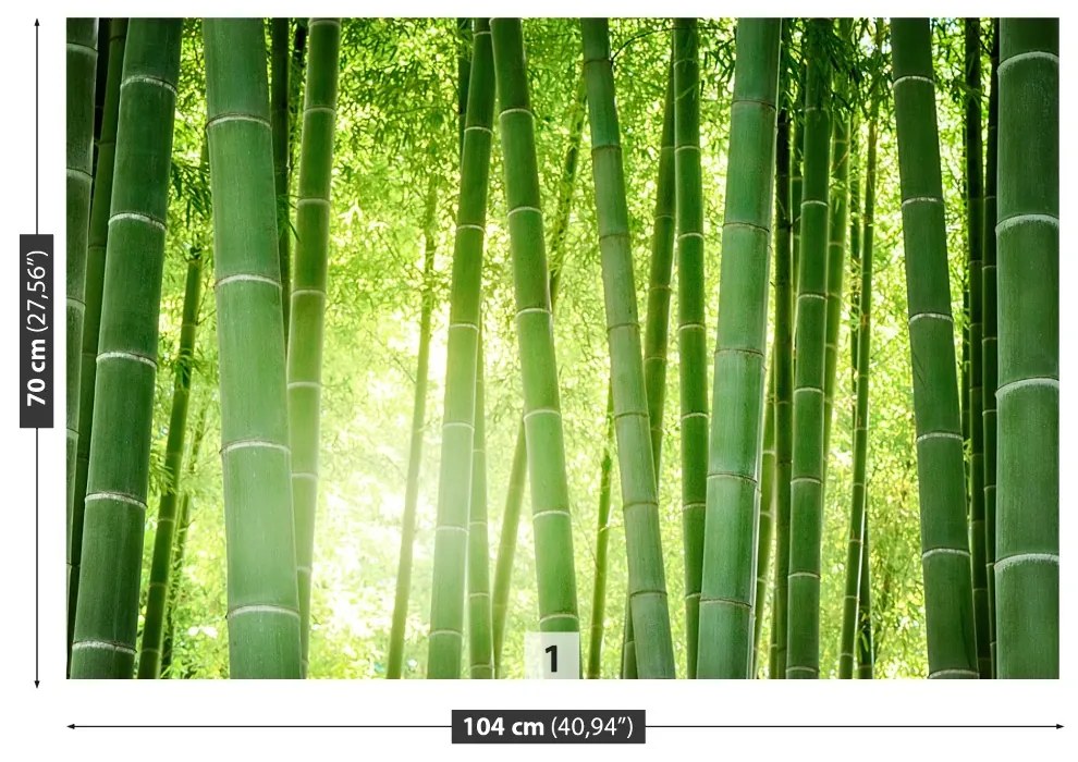 Fototapeta Vliesová Bambusové lesy 312x219 cm