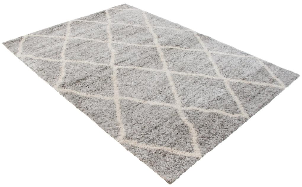 Shaggy koberec Versa Veľkosť: 140x200cm