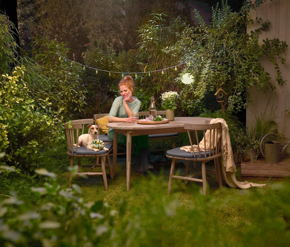 Závesné kŕmidlo pre vtáky