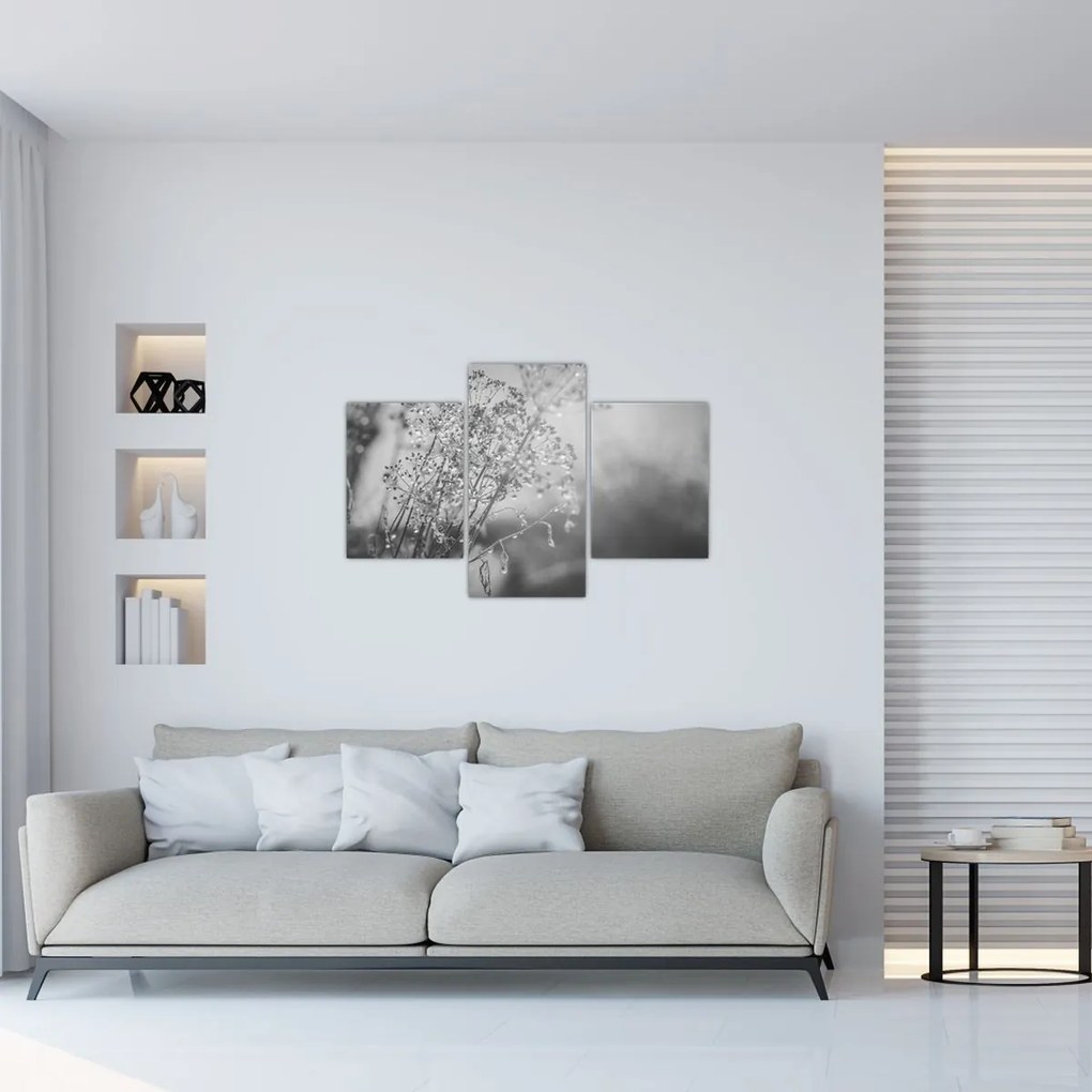 Obraz - Lúka po daždi (90x60 cm)