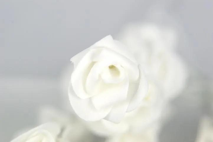 Svetelná dekorácia - Dekoratívne ruže - 16 LED, 45 cm