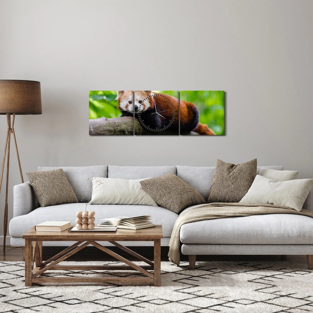 Obraz pandy červenej (s hodinami) (90x30 cm)