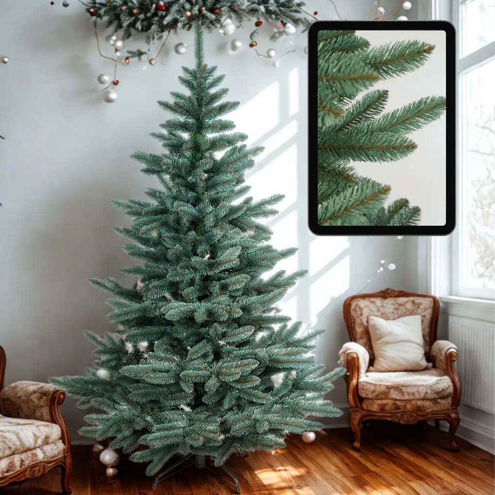 Jedlička strieborná 220cm