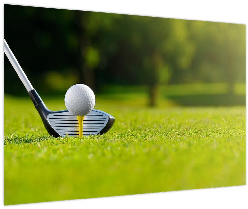 Obraz - Golf (90x60 cm)