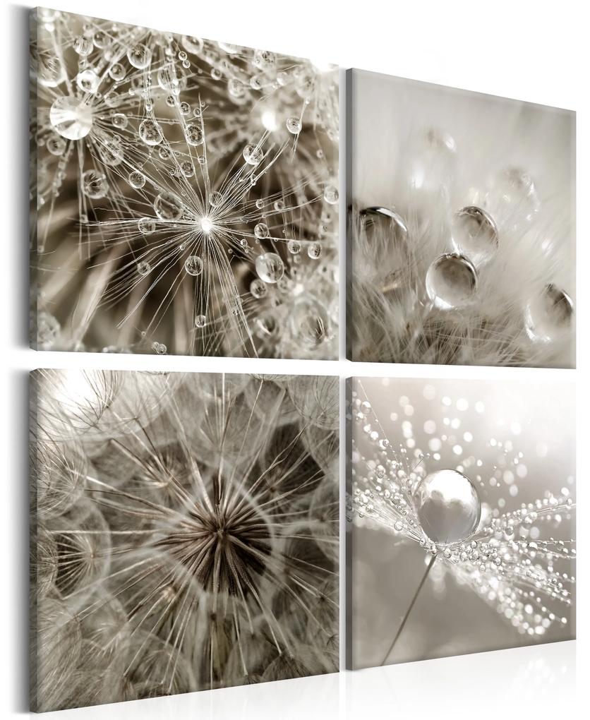 Artgeist Obraz - Grey Dandelion Veľkosť: 90x90, Verzia: Na talianskom plátne