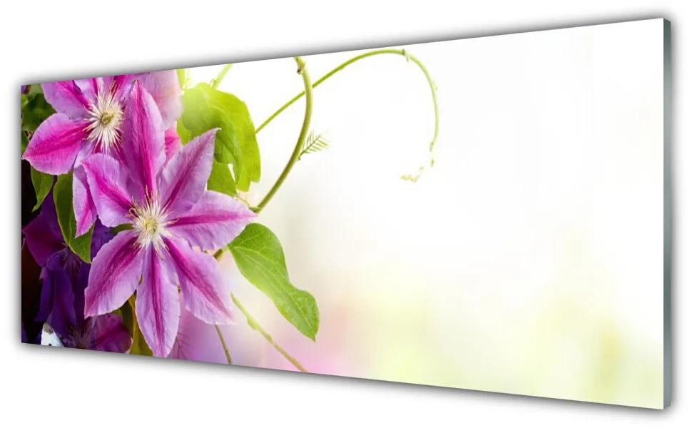 Obraz plexi Kvety príroda 125x50 cm