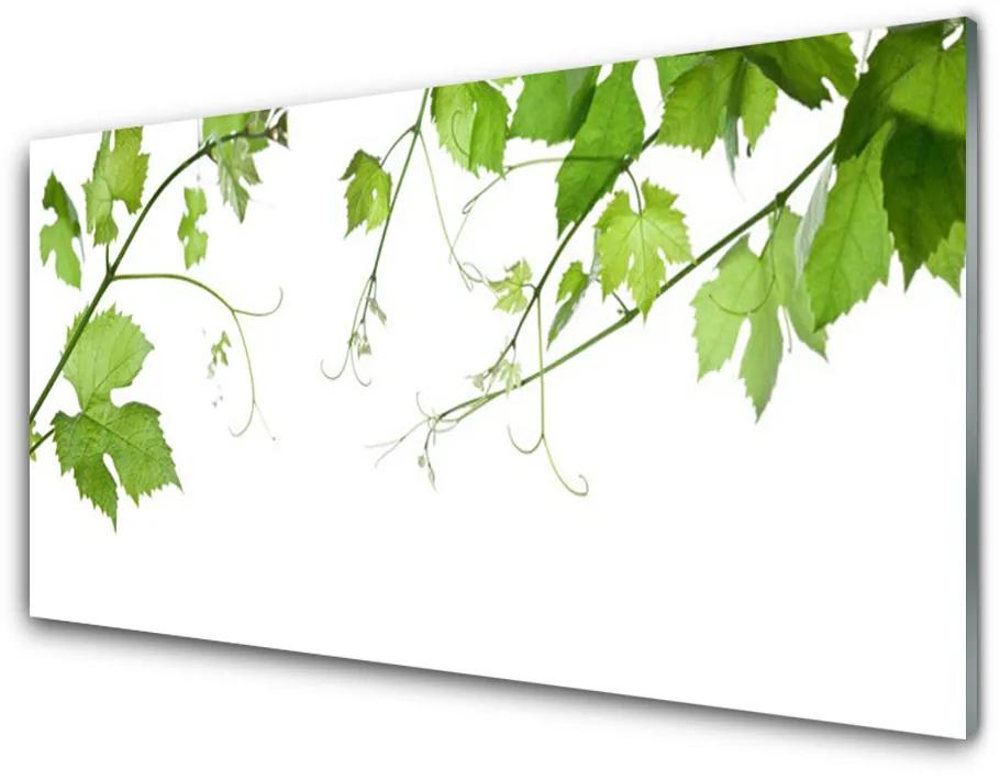 Skleneny obraz Vetvy listy príroda kvety 140x70cm