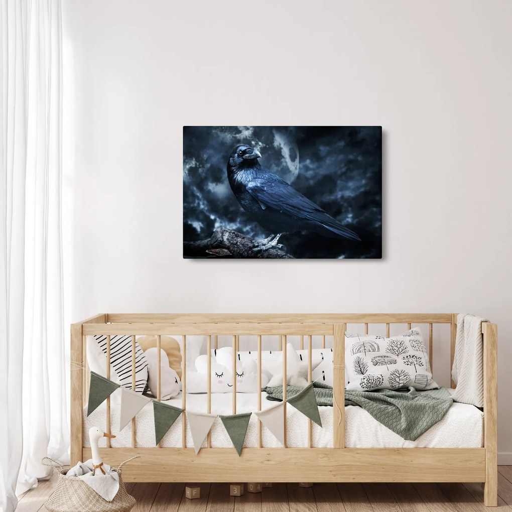Obraz - Havran (90x60 cm)