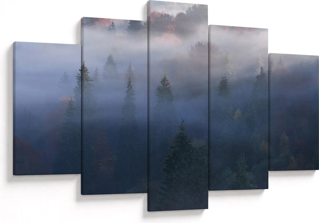 Obraz - Les v hmle, Karpaty, Ukrajina (150x105 cm)