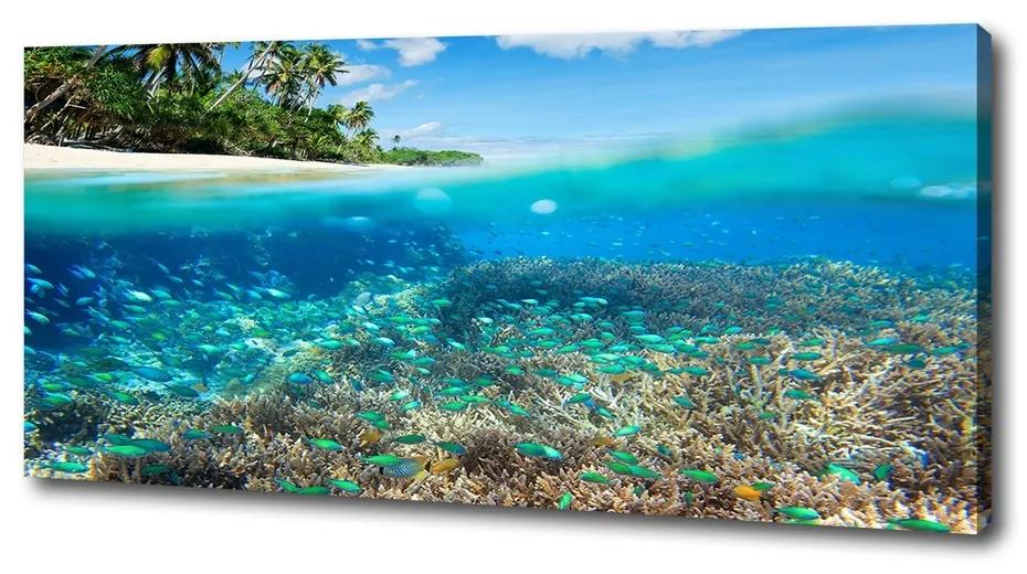 Foto obraz na plátne Koralový útes pl-oc-125x50-f-78236057