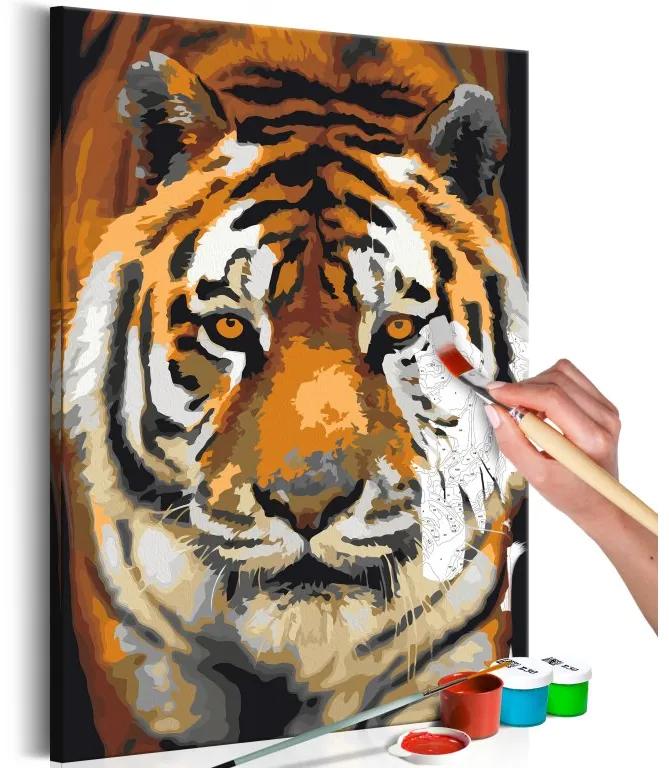 Obraz - maľovaný podľa čísel Asian Tiger