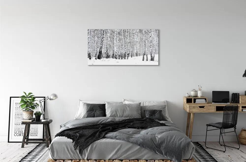 Sklenený obraz zimný brezy 120x60 cm