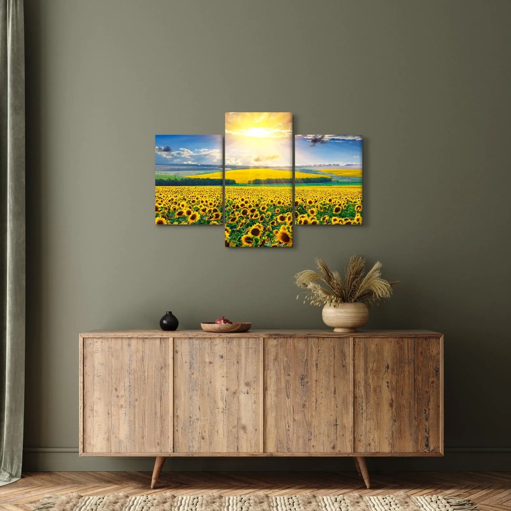 Obraz - Pole slnečníc (90x60 cm)