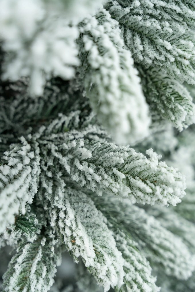 Limpol Vianočný stromček – zasnežená jedľa Gumis Výška stromčeka: 170 cm