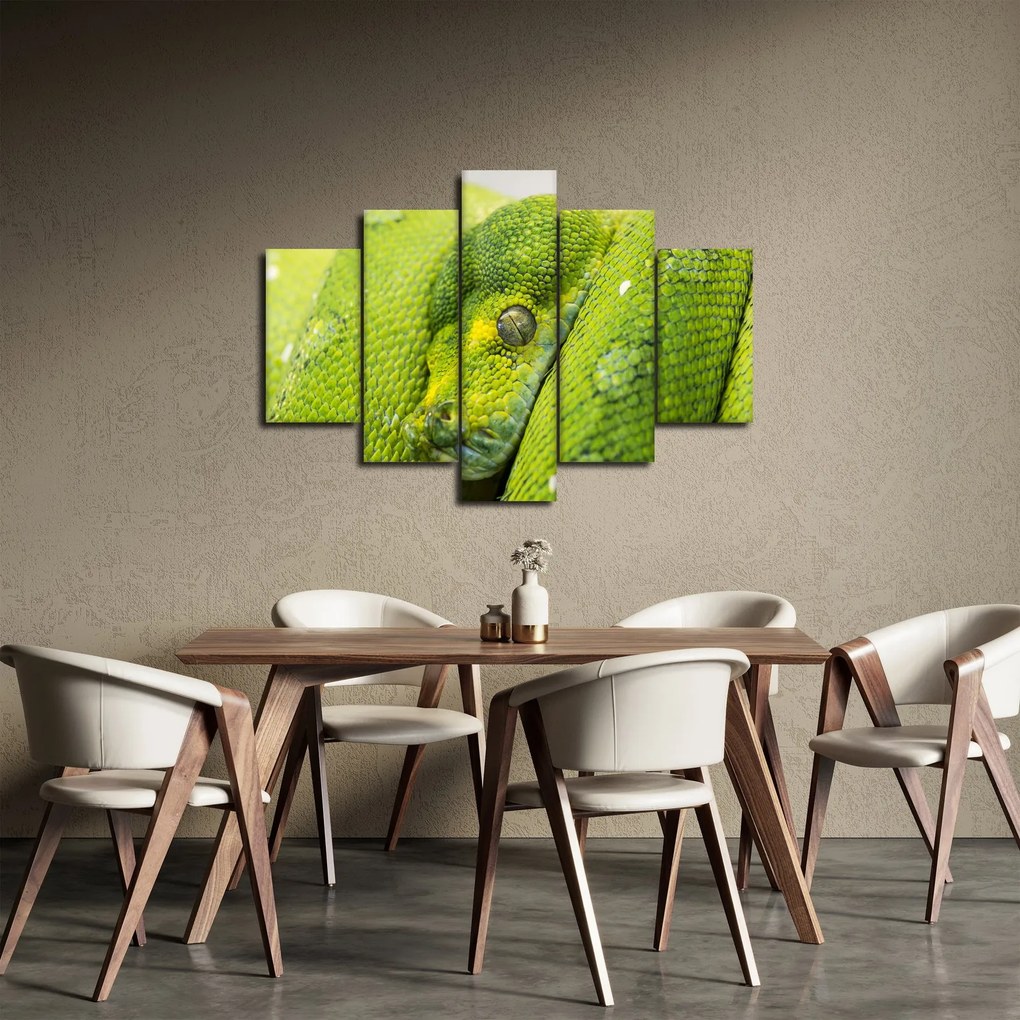 Obraz hada (150x105 cm)