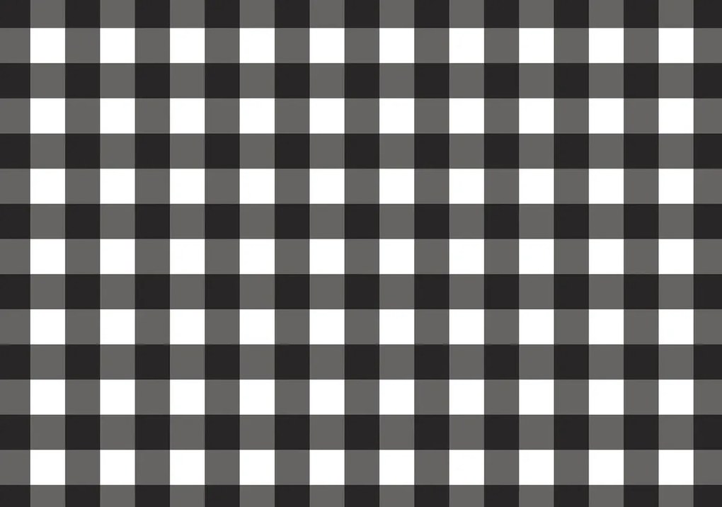 Fototapeta - Čiernobiela dáma (152,5x104 cm)