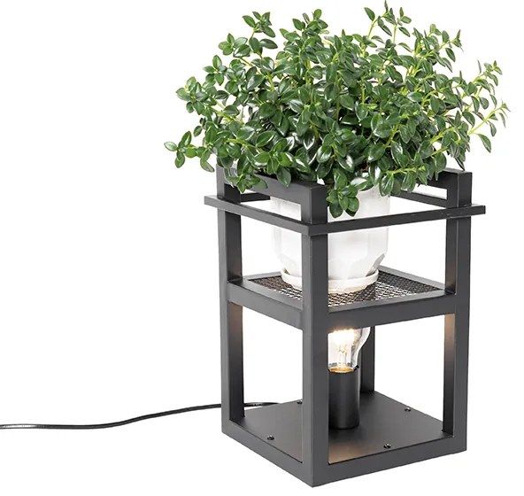 Priemyselná stolná lampa čierna - Cage Rack