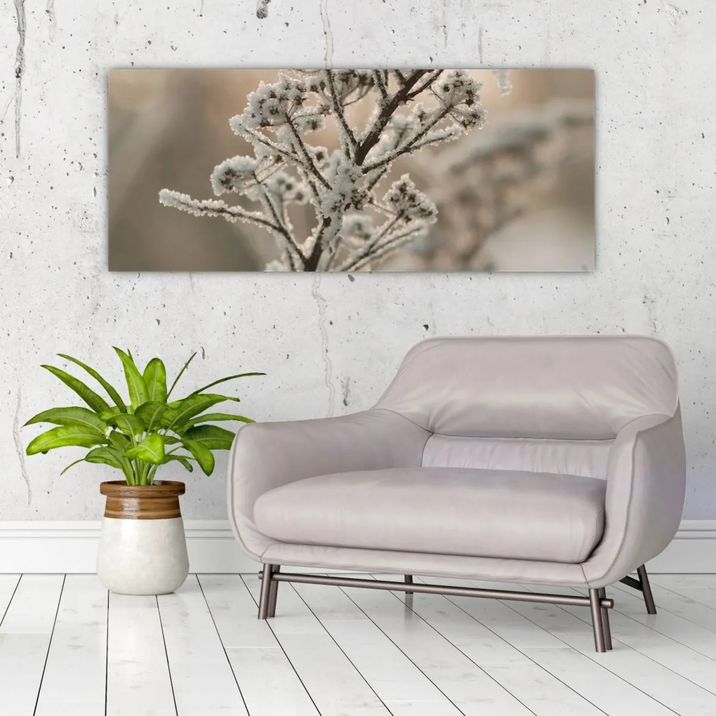Obraz - Rastlina v mraze (120x50 cm)