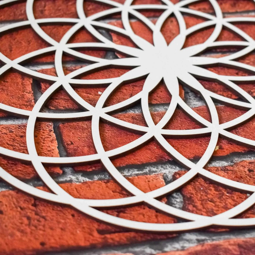 DUBLEZ | Posvätná geometria - Symbol kvet života