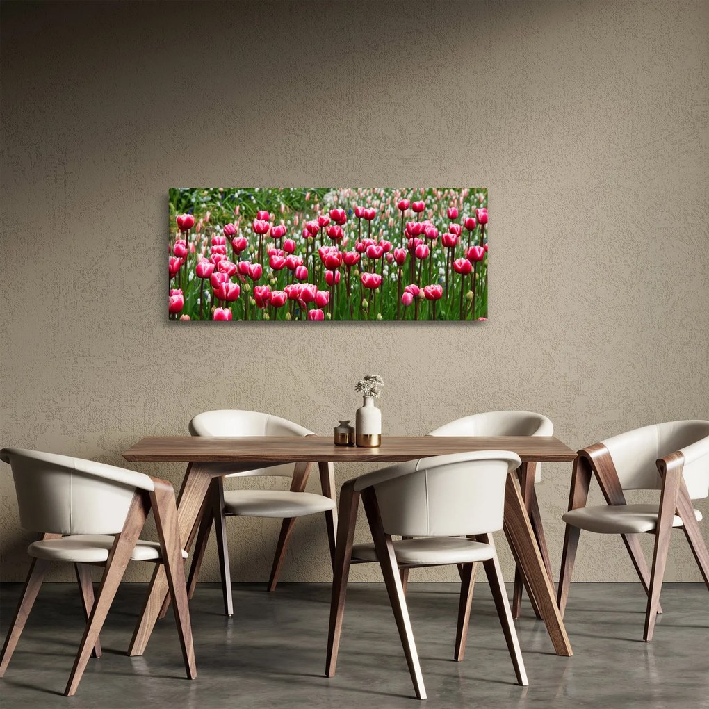 Obraz tulipánov (120x50 cm)