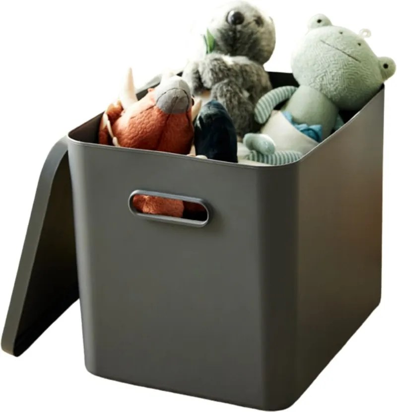 Rotho 2. akosť - Úložný box, rovný s vekom, 27l, antracit ALBU LIGHT, 37x29x30 (biele veko)