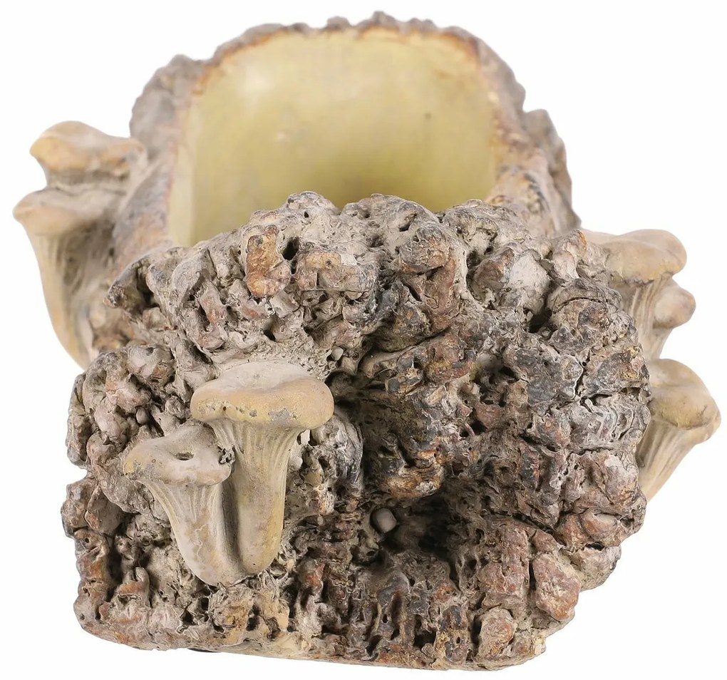 Betonový obal - truhlík, drevo s hubami, 36 x 18 x13 cm, hnedá