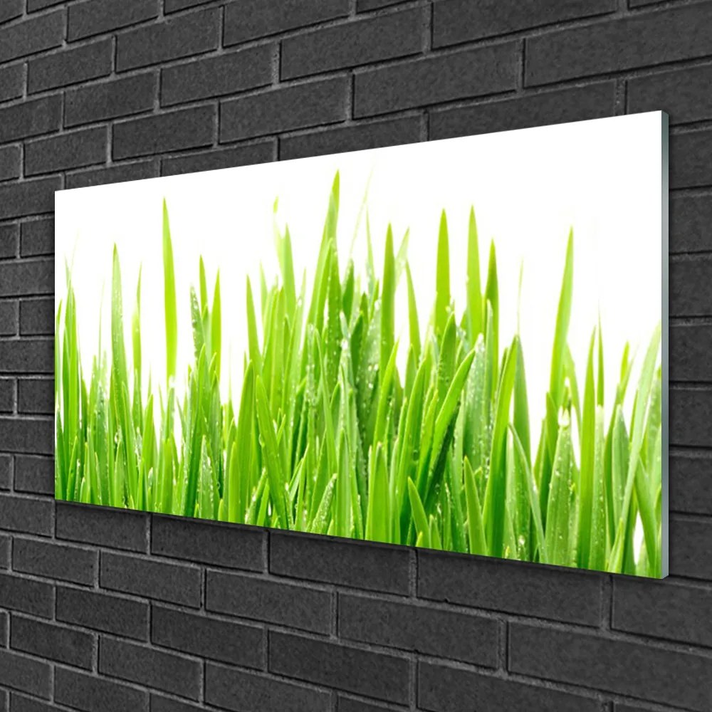 Skleneny obraz Tráva rastlina príroda 100x50 cm