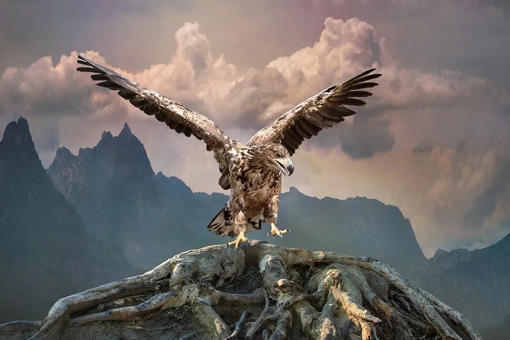 Tapeta orol s roztiahnutými krídlami nad horami - 225x150