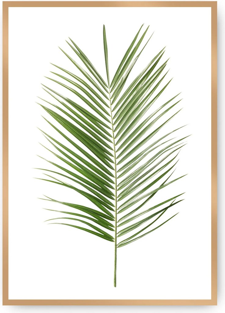 Plagát Palm Leaf Green