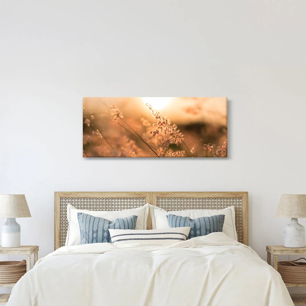 Obraz - Tráva na slnku (120x50 cm)