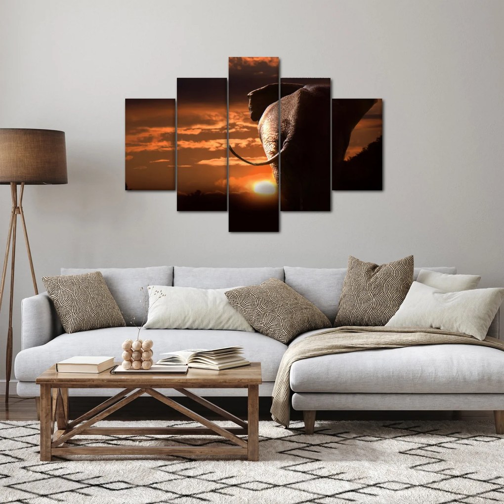 Obraz slona (150x105 cm)