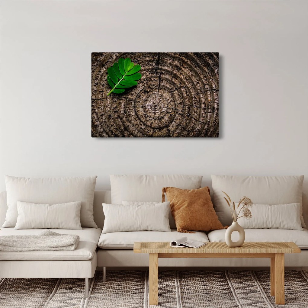 Obraz listu na kmeni stromu (90x60 cm)
