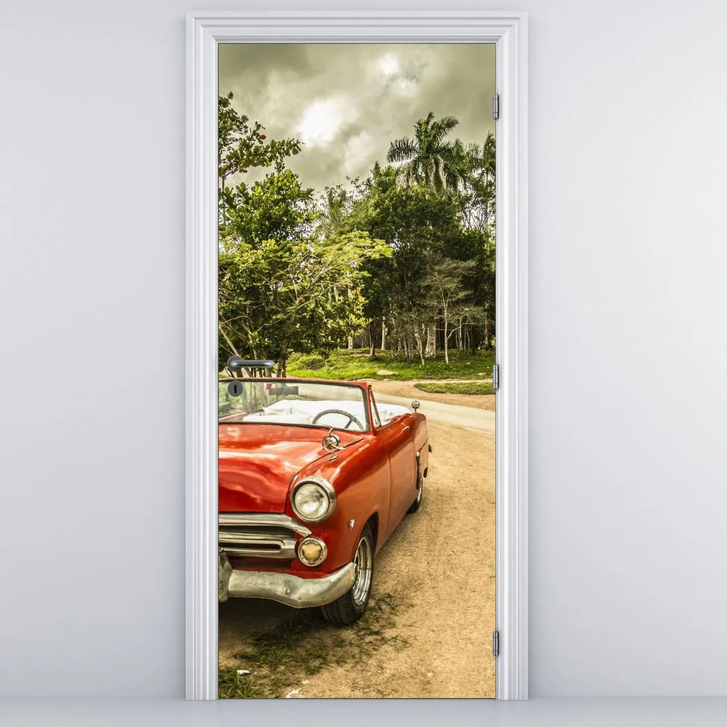Fototapeta na dvere - Auto veterán v prírode (95x205cm)