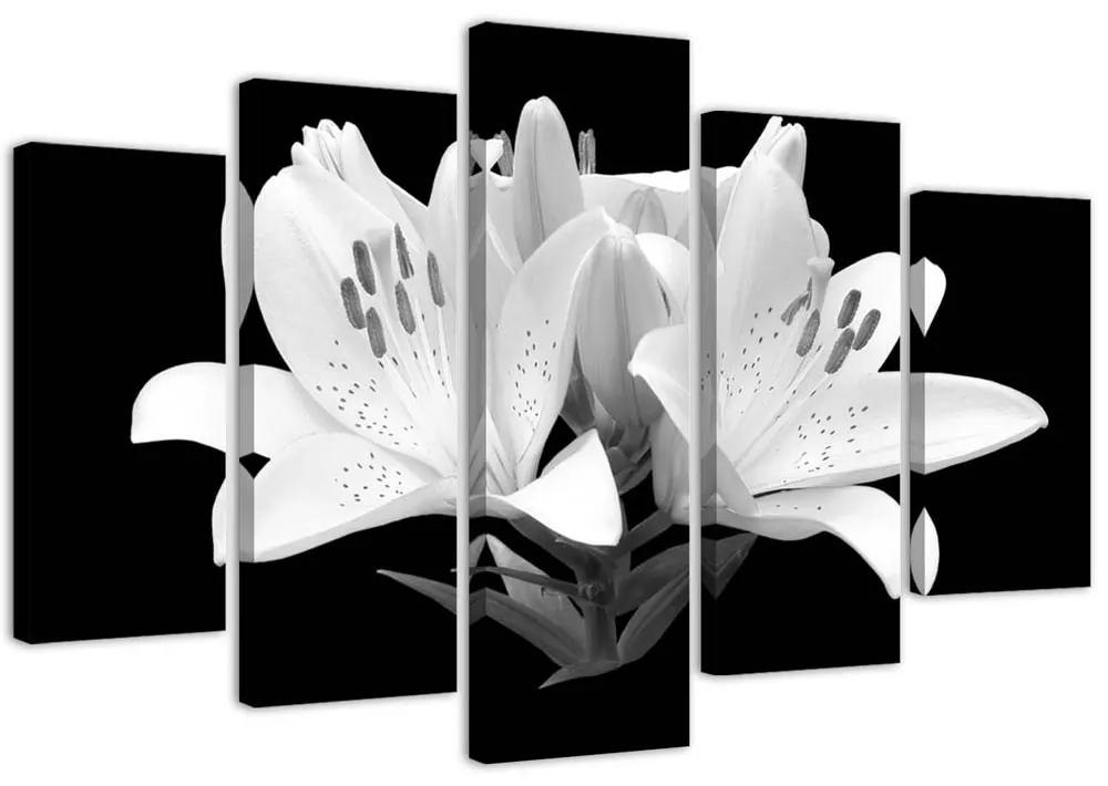 Obraz na plátně pětidílný Bílé lilie Květiny Příroda - 150x100 cm