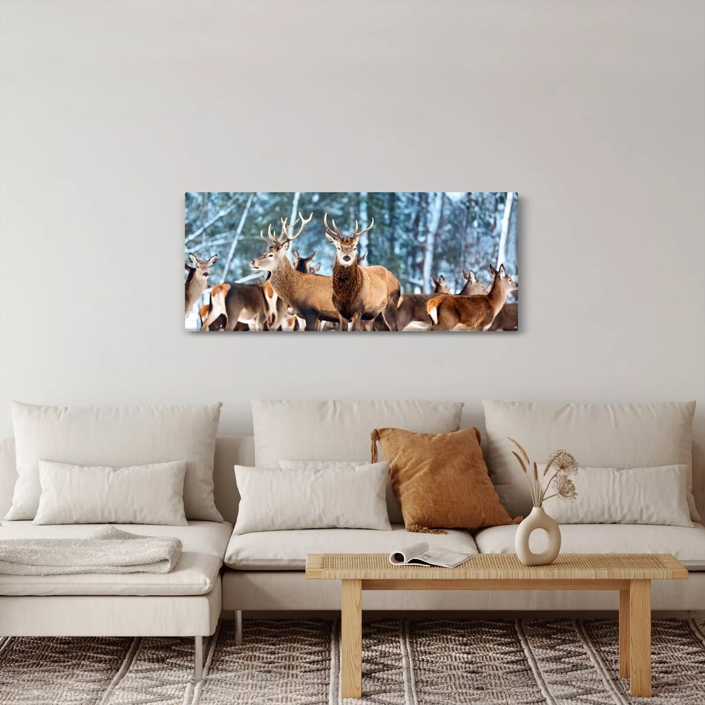 Obraz - Stádo jeleňov (120x50 cm)