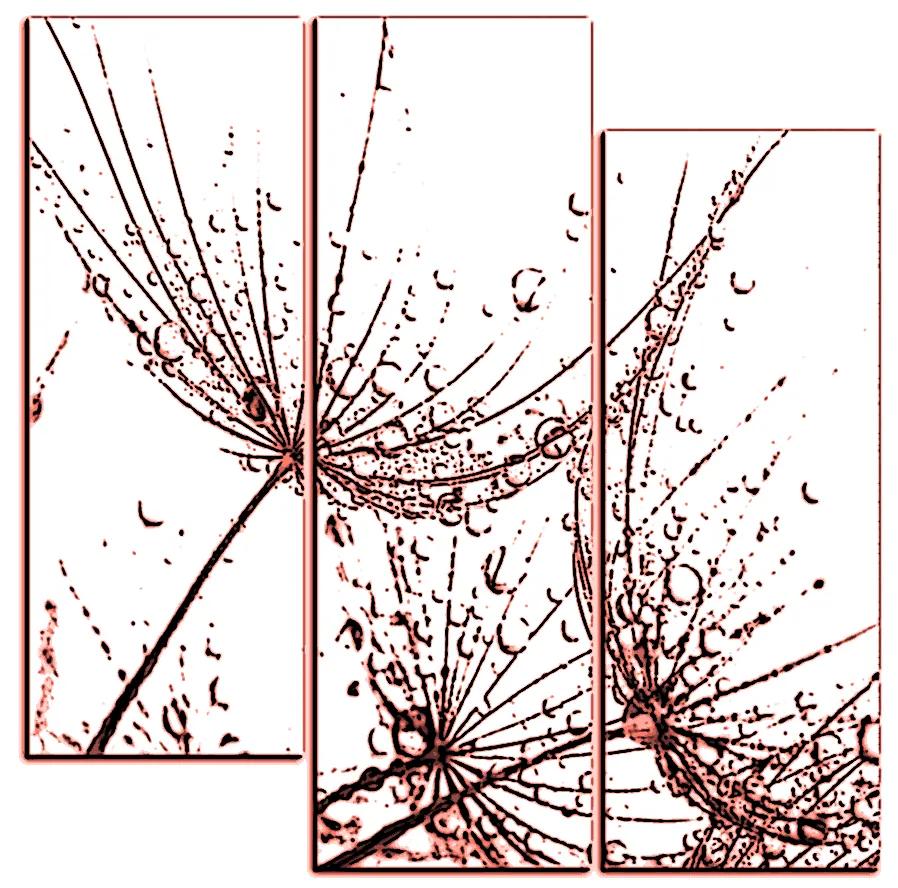 Obraz na plátne - Pampeliškové semienka s kvapkami vody - štvorec 3202KC (75x75 cm)