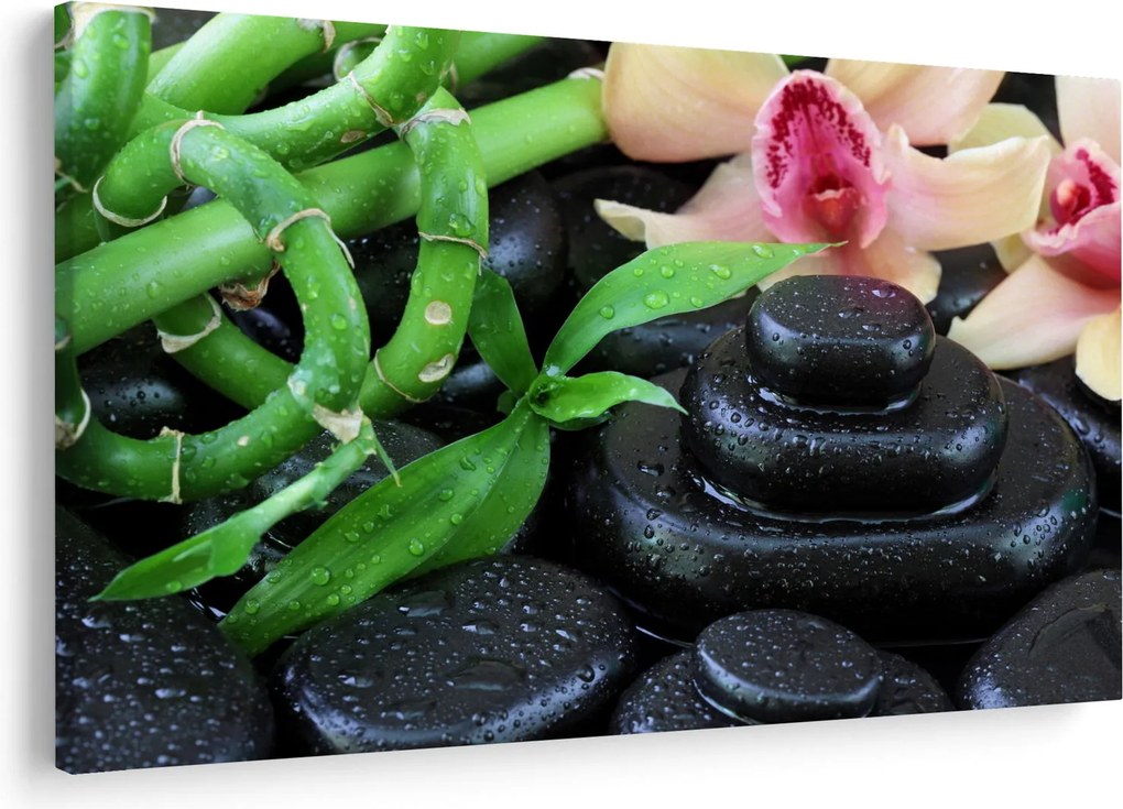 Obraz - Kamene a orchidey (90x60 cm)