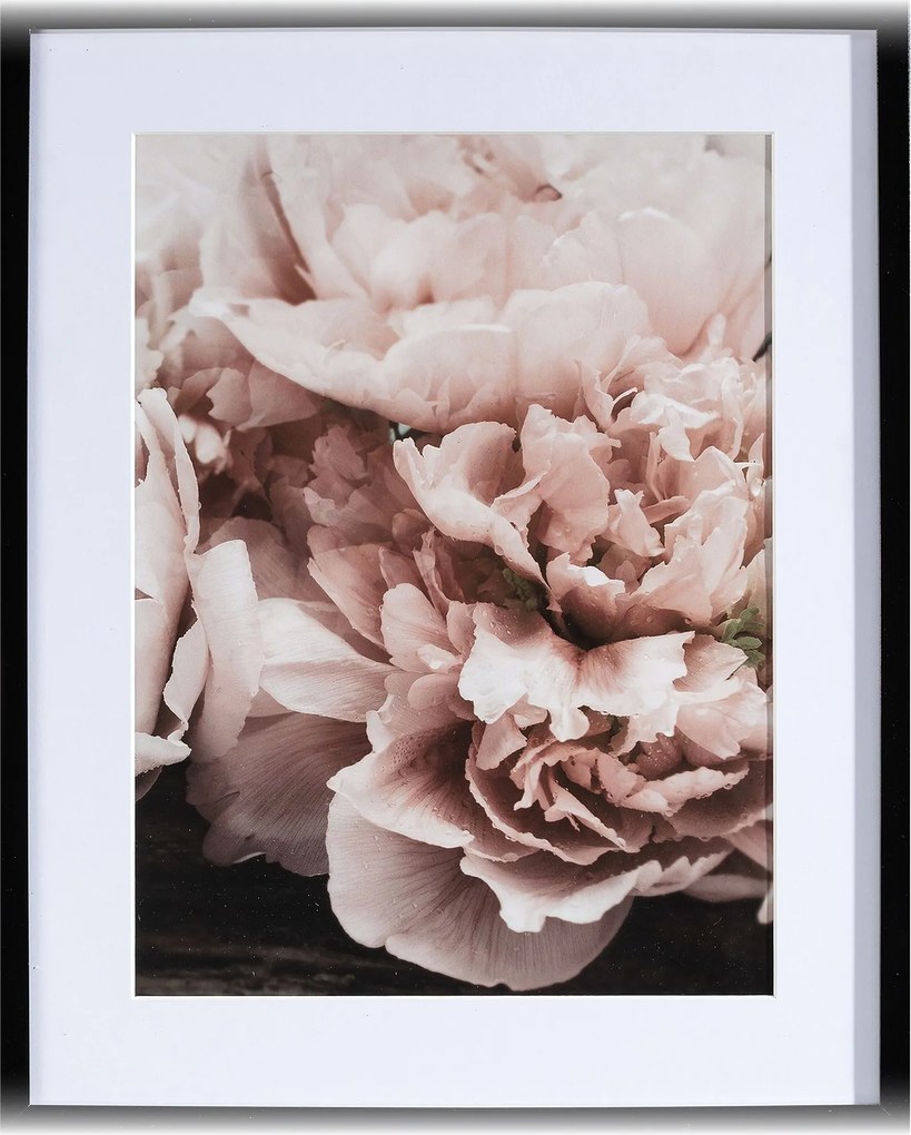 Obraz Peony Sunset I 40x50cm