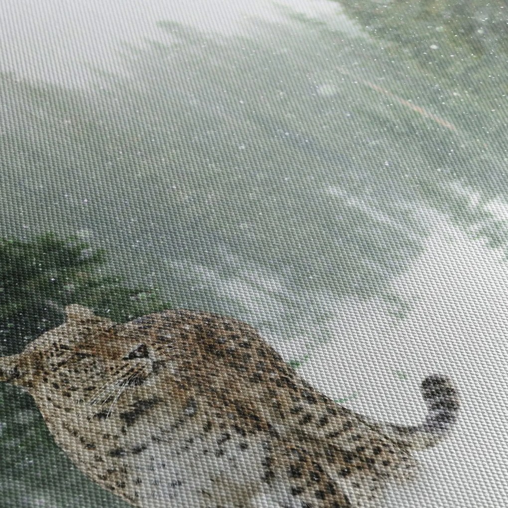 Obraz leoparda v snehu (150x105 cm)