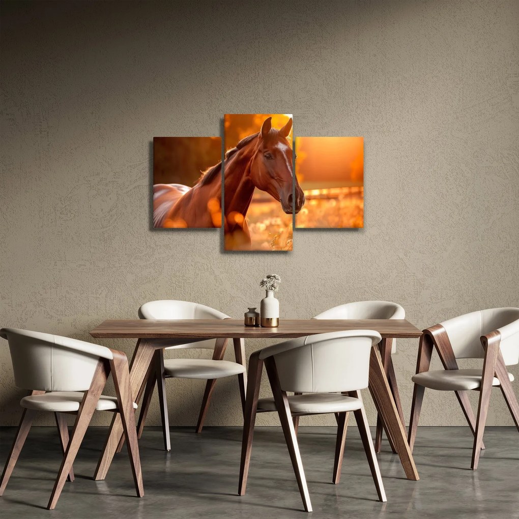 Obraz - Kôň v západe slnka (90x60 cm)