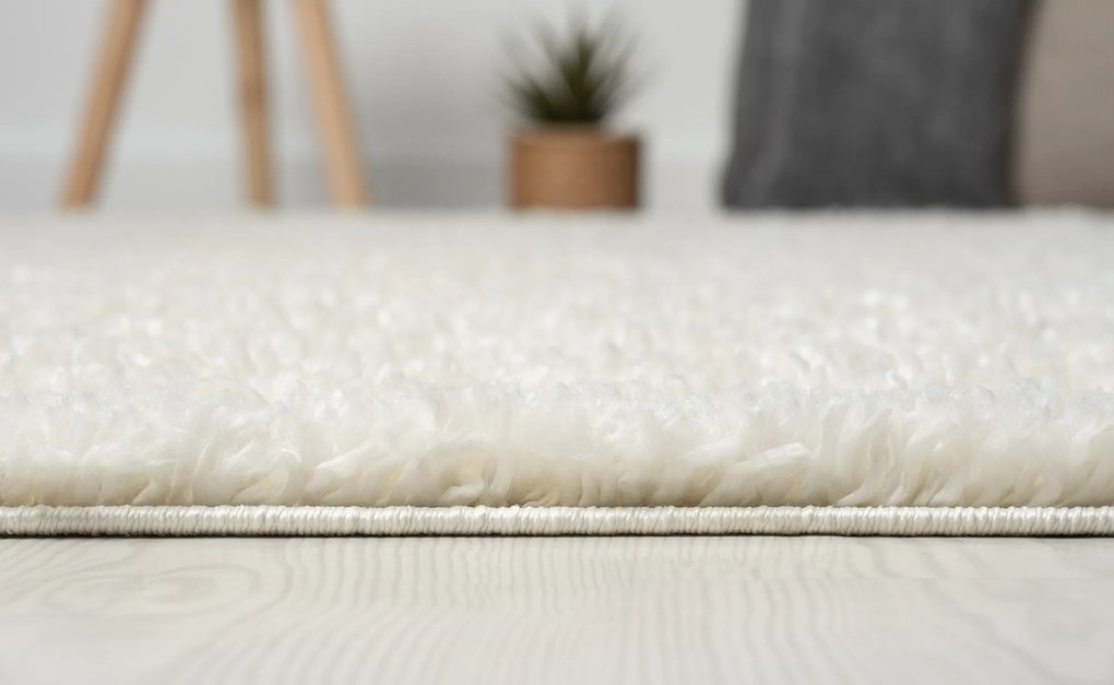 My Flair, AKCIA: 120x180 cm Kusový koberec My Shaggy creme, biela, chodba / predsieň