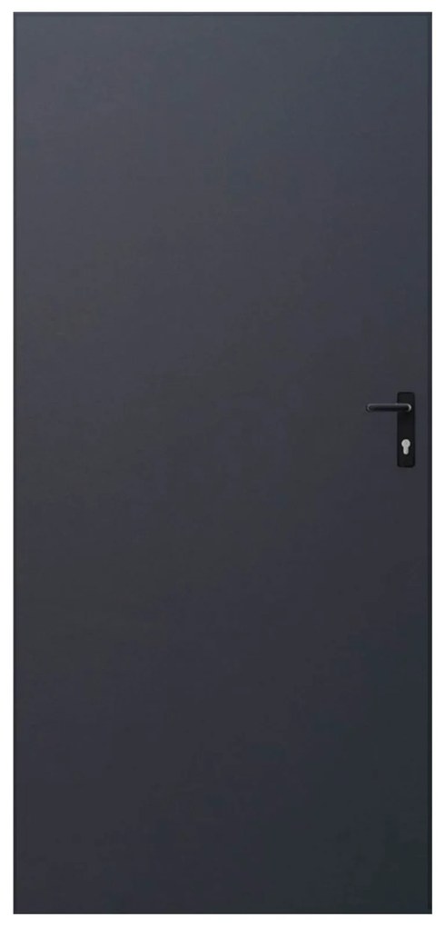 Plechové dvere 90, ľavé, antracit