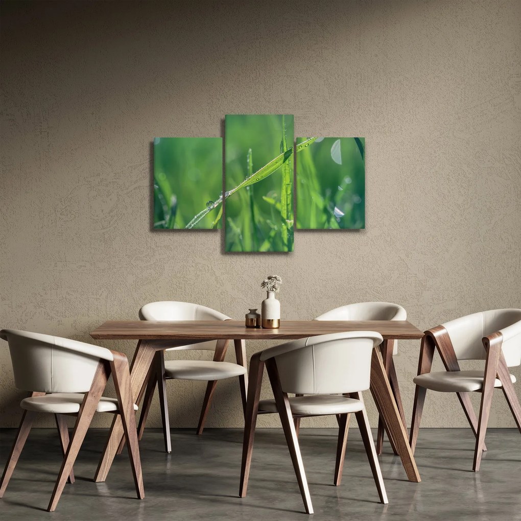 Obraz kvapiek rosy (90x60 cm)