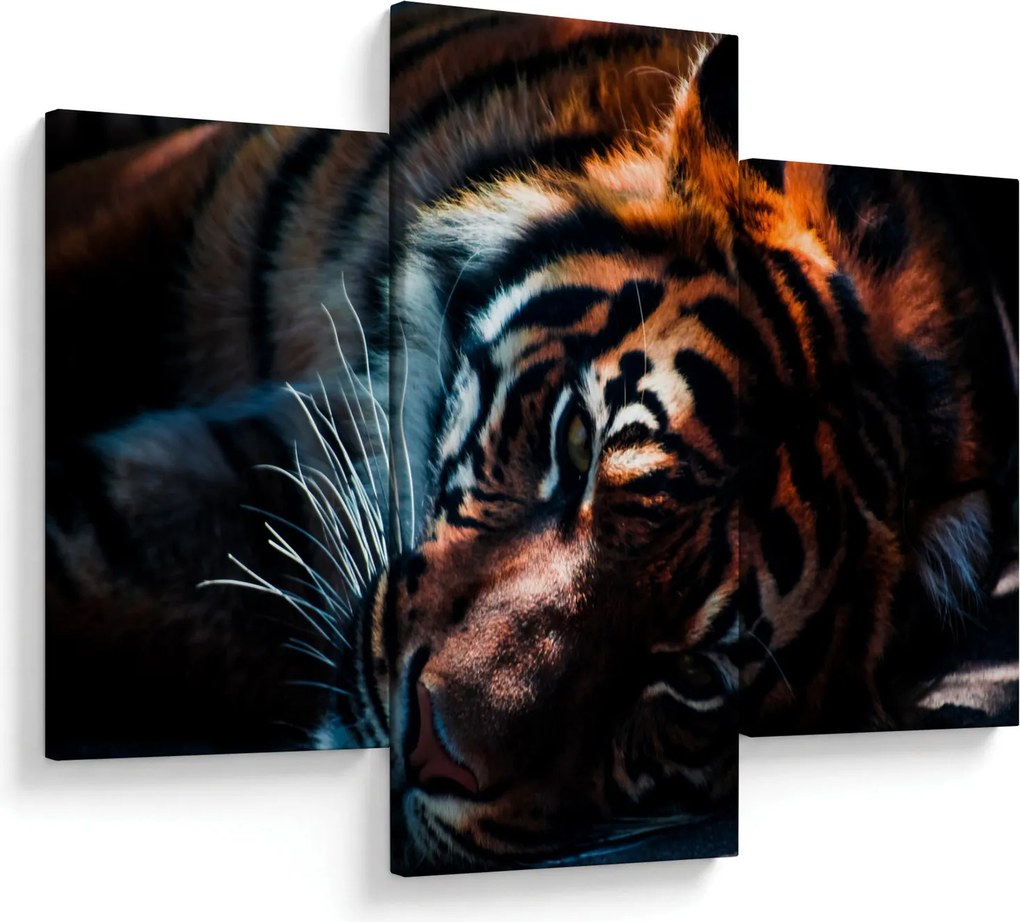 Obraz ležiaceho tigra (90x60 cm)