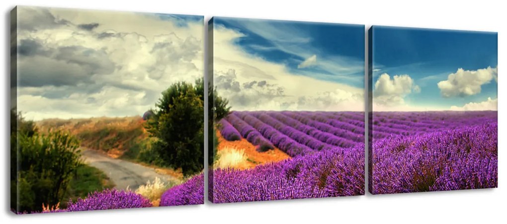 Gario Obraz na plátne Čarovná levanduľová krajina - 3 dielny Rozmery: 90 x 30 cm