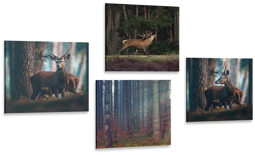 Set obrazov čaro lesných zvierat - 4x 40x40