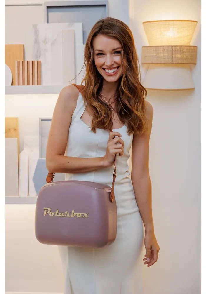Hnedý chladiaci box 6 l Classic Gold – Polarbox