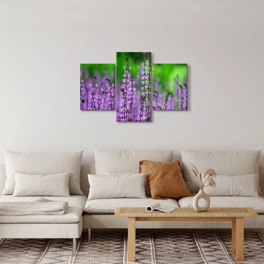 Obraz fialových lúčnych kvetov (90x60 cm)