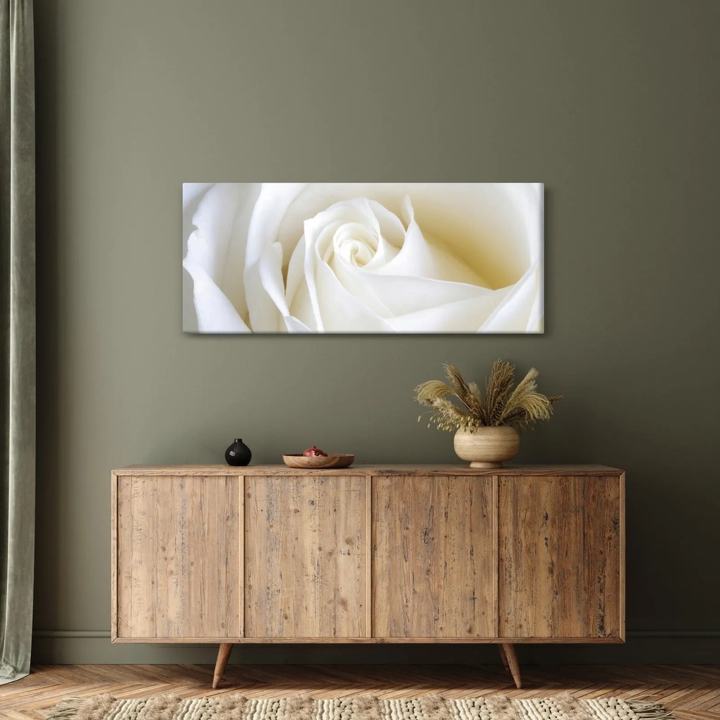 Obraz biele ruže (120x50 cm)