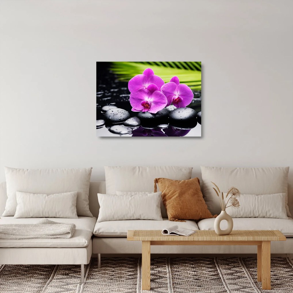 Sklenený obraz - Orchidey (70x50 cm)